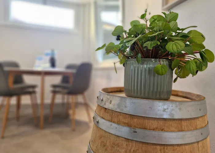 Garden Jacuzzi View Apartment