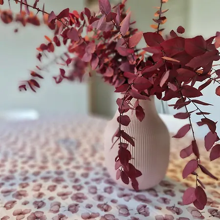 Garden Jacuzzi View * Lierna